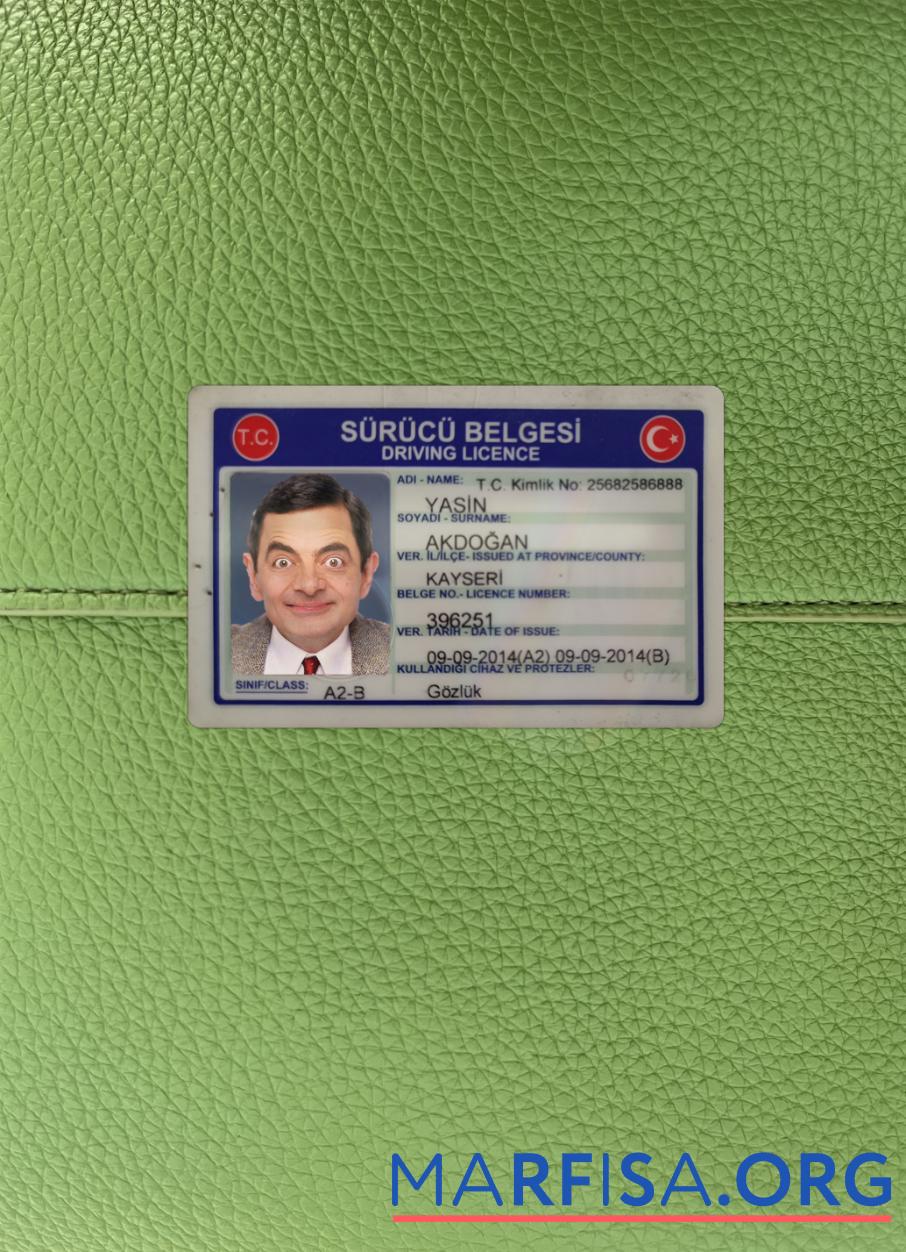 Downloadable Turkey driving license 2014 present photolook download for verification